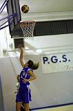 Basket C321031